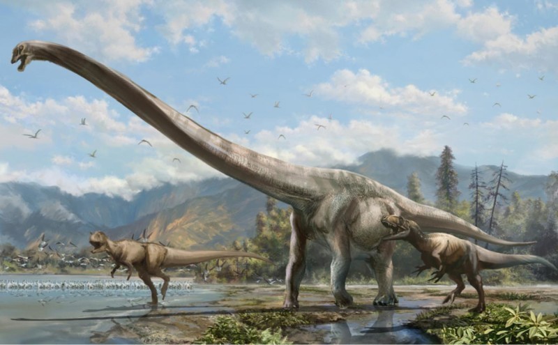 中国で発見された長い首を持つ ドラゴン 体の半分が首 海外 Strong 恐竜 Strong 情報 翻訳サイト